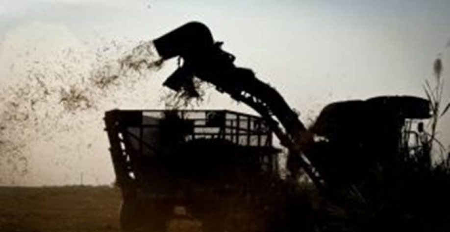 Usina Santa Adélia obtém empréstimo de R$ 100 mi do BNDES pelo Renovabio