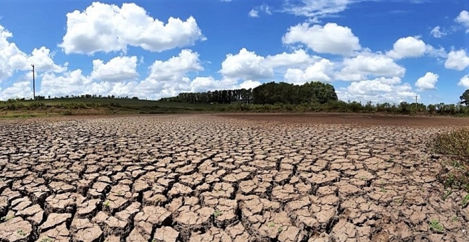 Números da safra já apontam efeitos da seca no país