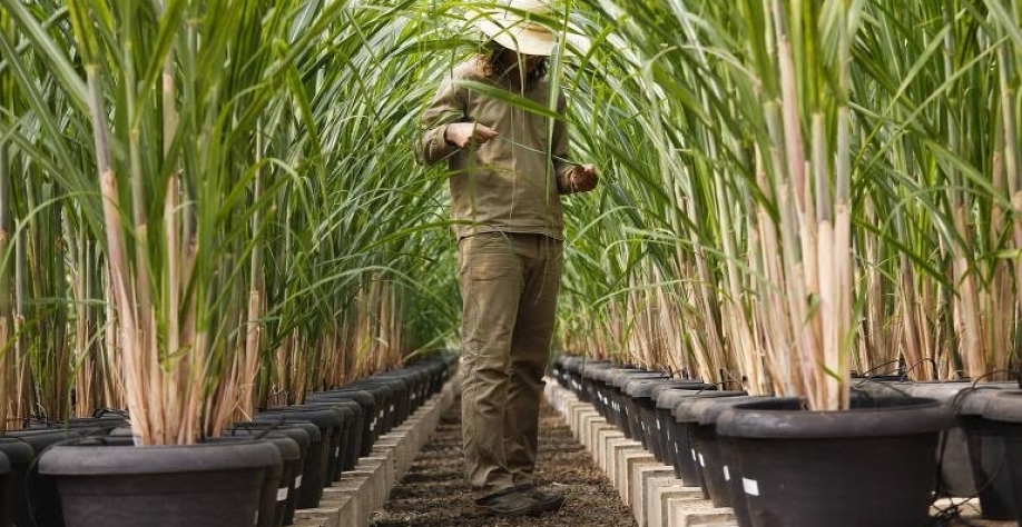 Uma transformação radical na matriz energética global está por vir