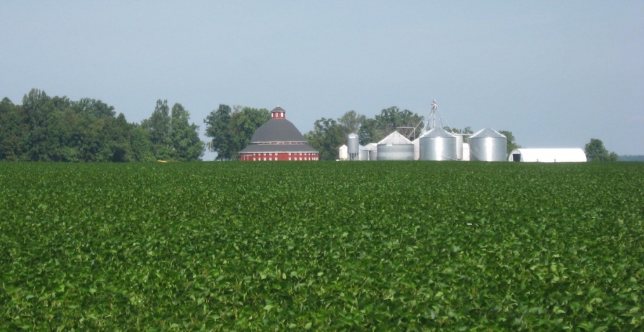 Safra de soja e milho que começa a ser plantada nos EUA vem mais enxuta