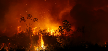 Cientistas alertam para piora de incêndios na Amazônia e Pantanal este ano