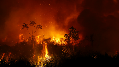 Cientistas alertam para piora de incêndios na Amazônia e Pantanal este ano