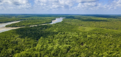 Desmatamento na Amazônia cresce pelo segundo mês consecutivo