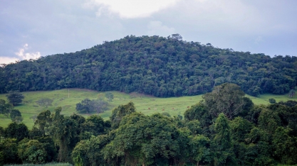 Bayer aposta no Pro Carbono para rentabilizar o produtor rural