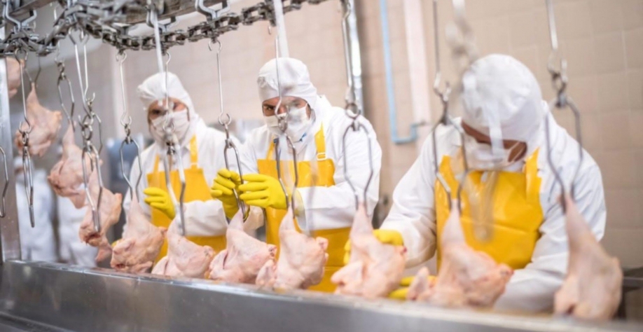 CEO da BRF diz que busca oportunidades de crescer localmente na China