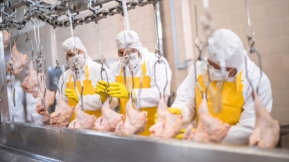 CEO da BRF diz que busca oportunidades de crescer localmente na China