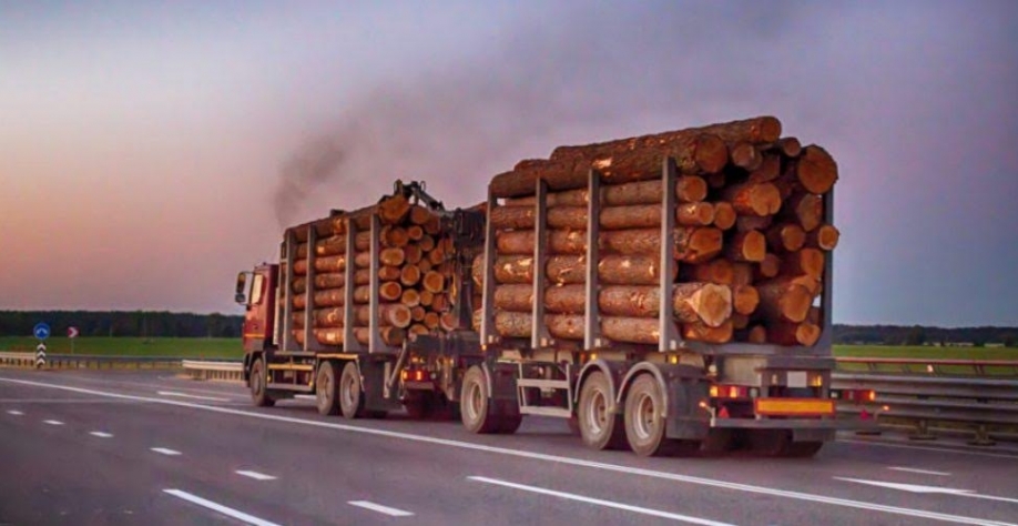 Até madeira marca presença no boom de exportações do agro do país