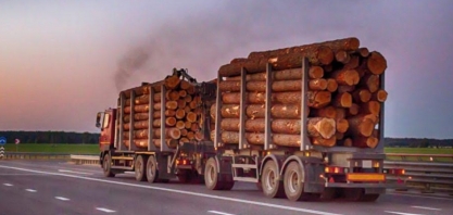 Até madeira marca presença no boom de exportações do agro do país