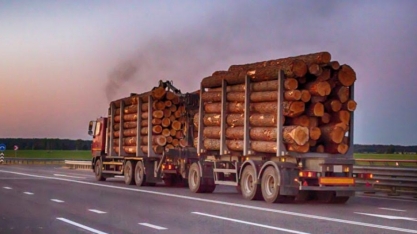 Até madeira marca presença no boom de exportações do agro do país