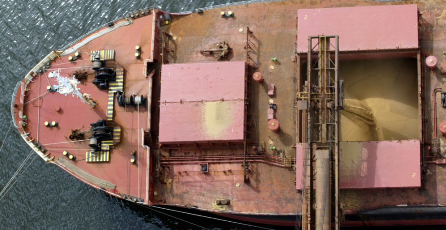 Anec confirma previsão de queda na exportação de soja em maio