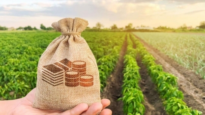 País é o 4° produtor de grãos e o maior exportador de carne bovina do mundo