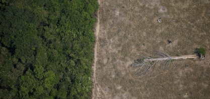 Desmatamento da Amazônia brasileira dispara 67% em maio