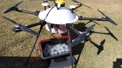 “Granja do futuro” tem ar-condicionado para aves e toque da BRF