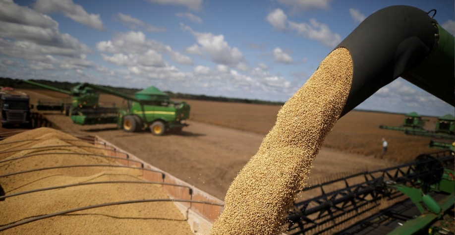 Exportação de soja sobe 16% em maio e supera 50 milhões de toneladas no ano