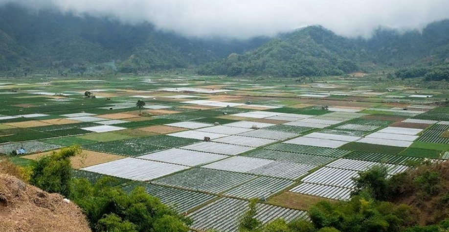 Preços globais de alimentos têm maior aumento em uma década
