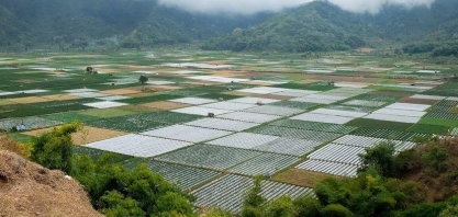 Preços globais de alimentos têm maior aumento em uma década