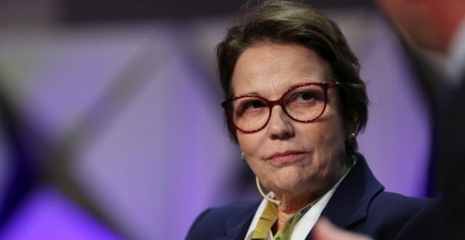 Brasil está perto de regulamentar pagamentos por serviços ambientais