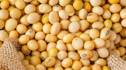 Brasil assume liderança mundial em receitas com exportação de grãos