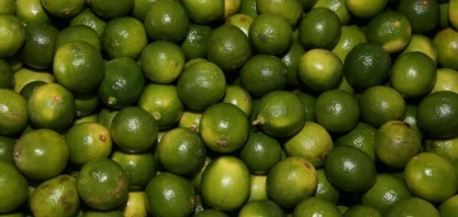 Rota da Fruticultura é lançada no Distrito Federal pelo Ministério Regional