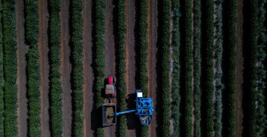 O que é o Fiagro? – Por Helen Jacintho