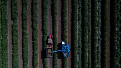 O que é o Fiagro? – Por Helen Jacintho