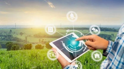 Rede 5G promete transformar o campo