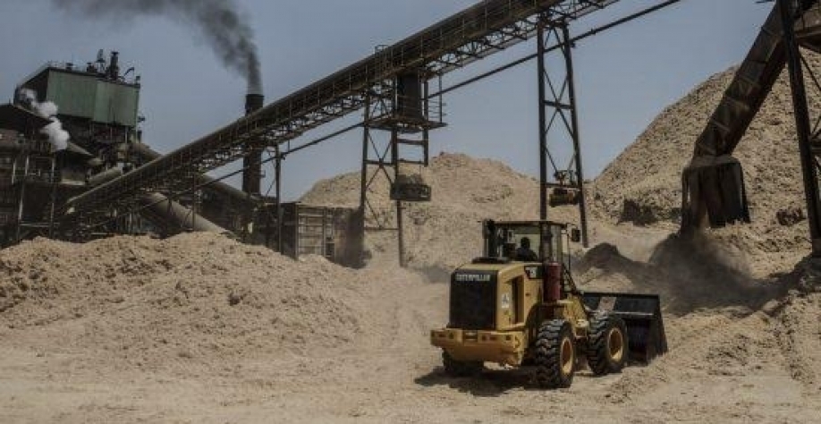 Cana-de-açúcar é fonte de 19% da energia elétrica consumida no Brasil