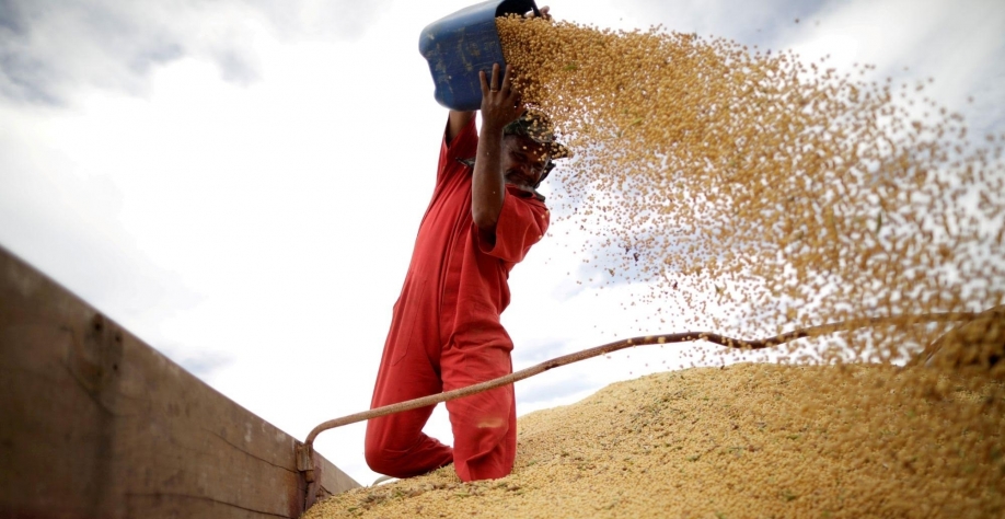 Clima quente e seca causam rali no milho, soja e trigo em Chicago