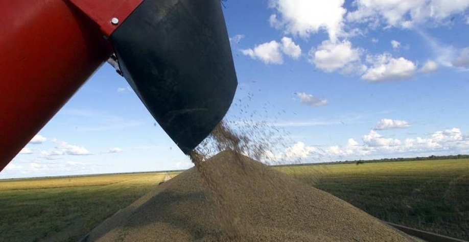 Preços agrícolas começam a ceder no mercado brasileiro