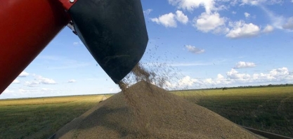 Preços agrícolas começam a ceder no mercado brasileiro