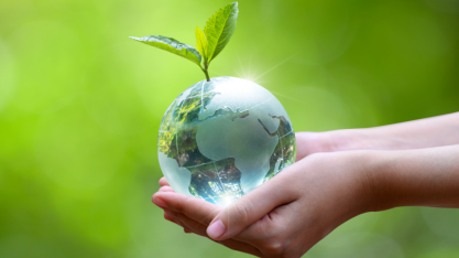 Tyson lança meta de emissões zero,mas não cumpre projeto no setor agrícola