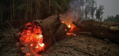 Como conquistas ambientais do Brasil estão ruindo sob Bolsonaro