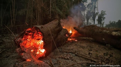 Como conquistas ambientais do Brasil estão ruindo sob Bolsonaro