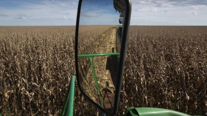 Não há mais margem para a quebra mundial de safra