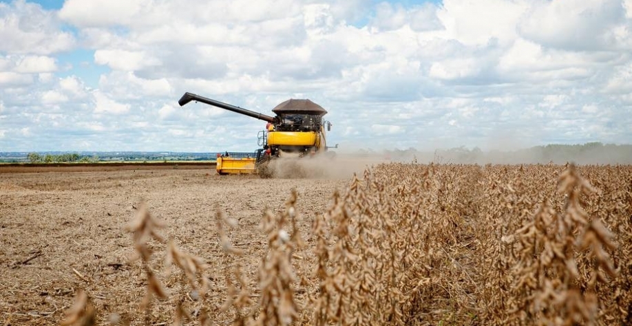 Agronegócio vive boom de investimentos e espalha riqueza pelo interior