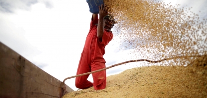 Vendas de soja 2021/22 de Mato Grosso superam 30% da produção esperada