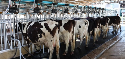 Leite: México libera importação de produto brasileiro