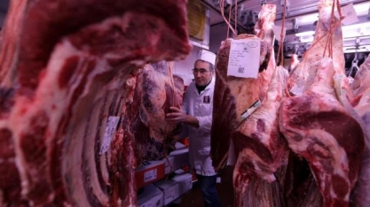 Abate de bovinos cai 10,6% no 1º trimestre/2021 ante ano anterior