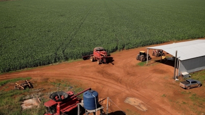 Seca derruba 2ª safra de milho 2020/21 a 65,3 milhões de toneladas