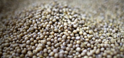 Fundos de investimento para o agronegócio terão incentivos fiscais