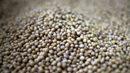 Fundos de investimento para o agronegócio terão incentivos fiscais