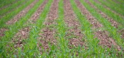 Crédito rural atinge R$ 233,9 bi em 2020/21 e deve superar valor programado