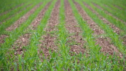 Crédito rural atinge R$ 233,9 bi em 2020/21 e deve superar valor programado