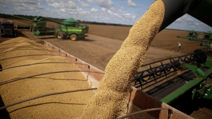 Previsões de clima do Meio-Oeste impulsionam futuros do milho e da soja