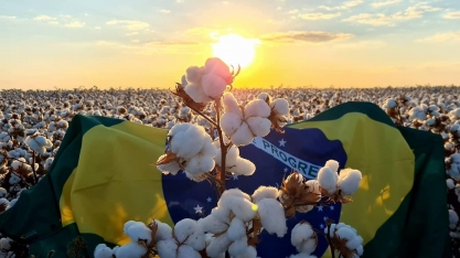 Agricultura seleciona adidos agrícolas para postos em 12 países