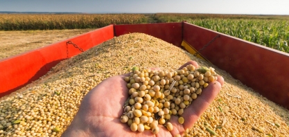 Efeitos do novo ciclo de commodities não se afastam do campo