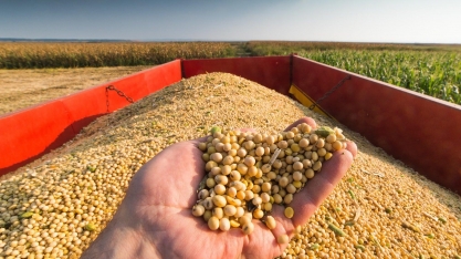 Efeitos do novo ciclo de commodities não se afastam do campo
