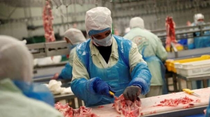  Abate de frangos sobe 3,3% no 1º trimestre/2021 ante ano anterior