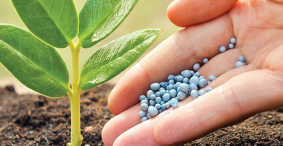 Venda de fertilizantes cresce 11,5% em janeiro ante ano anterior