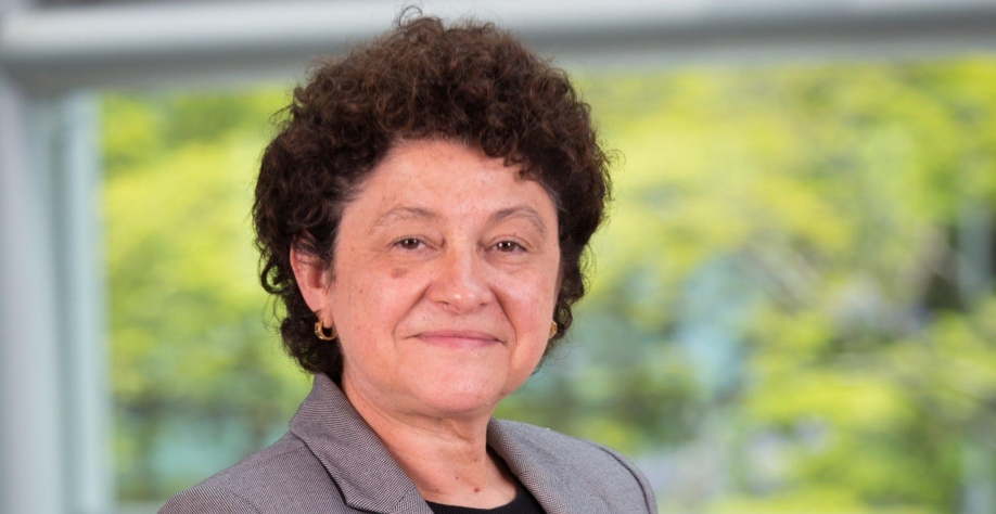 Fundo JBS coloca R$ 50 milhões na Amazônia